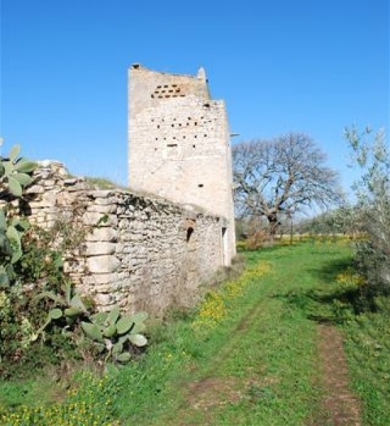 Torre Dell'Orco-foto 1