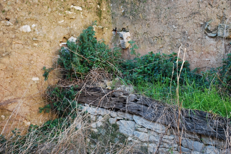 Torre Dell'Orco-foto 15