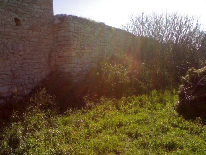 Torre Dell'Orco-foto 21